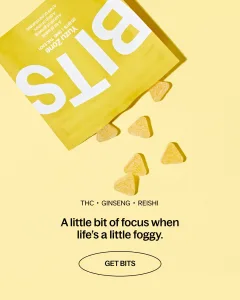 BITS THC ginseng reishi edible gummies spilling from pouch