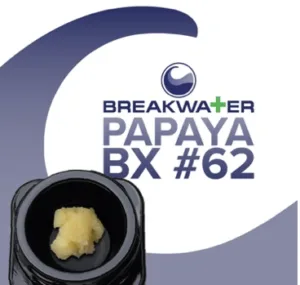 Breakwater Papaya BX #62 cannabis concentrate product container close up