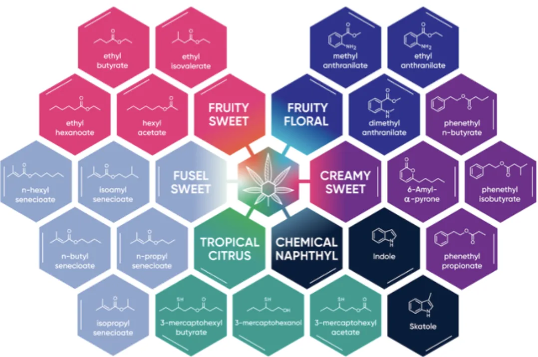 Cannabis terpene flavor chart showing fruity sweet floral profiles