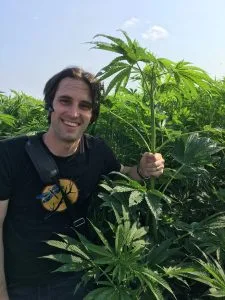 Man standing in field holding large cannabis plant